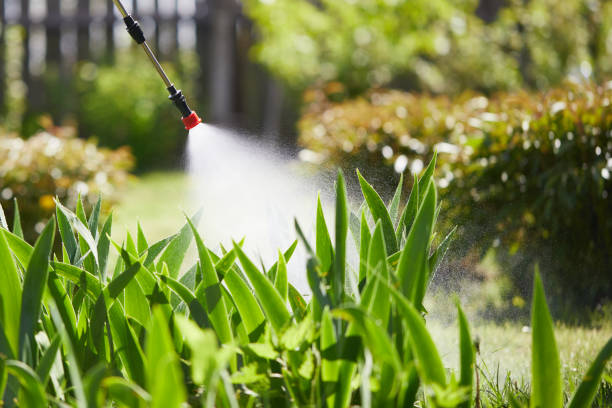 24/7 Emergency Mosquito Control experts in Ridgway, PA